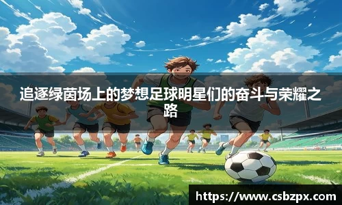 追逐绿茵场上的梦想足球明星们的奋斗与荣耀之路